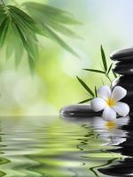 gestion du stress afeeeb2e - Sophypnotherapie